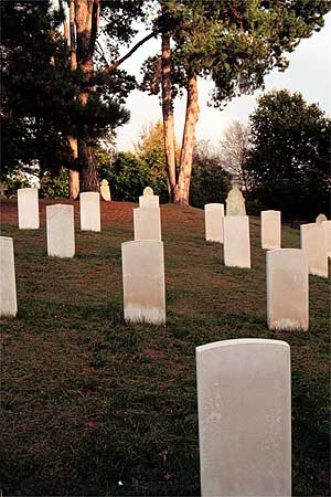 cemetery view